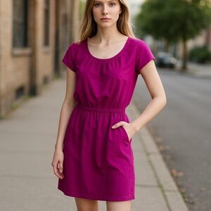 Banana Republic Pink Dress with belt.